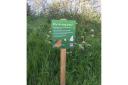 A sign letting the public know the area is being rewilded