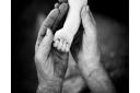 youth and old age. Hands of grandmother and granddaughter. High quality photo