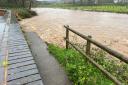 Flood water on the path by River Otter on the otter footpath