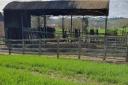 The damaged barn after the arson attack