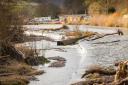 Plans are underway to improve fish passage at Brecon Weir on the River Usk