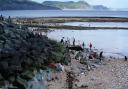 East beach at Lyme Regis - a nicer place to be since the sewage pumping station was built at nearby Cobb Gate. Photo by Chris Carson