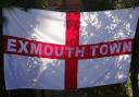 The Exmouth Town flag that can be seen at home and away games. Picture MARTIN COOK