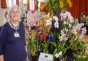 Nicky Wakley chairman of the Devon Orchid Society at the show in 2020.