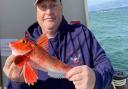 Andy Gregory 1lb 7oz Red Gurnard