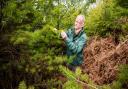 John Wilding assesses the young woodland on Otterton Hill