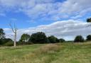 New open green space near Clyst St Mary.