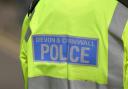 Devon and Cornwall Police are appealing for witnesses