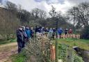 Members of Honiton u3a Nature Appreciation Group at the Lower Otter Restoration Project