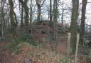 One of the Bronze Age Bowl Barrows on the common near Exmouth