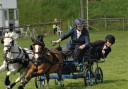 Scurry Horse Racing at the Devon County Show.