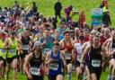 Rob Ellis at the start of the Tavy 7