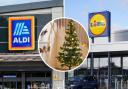 From Christmas trees and decorations to childrens' toys, here are some of the things you'll find in the Aldi and Lidl middle aisles from Thursday