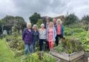 Members of the Seachange garden group at the community allotment