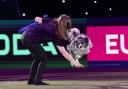 Lorna and Nora performing their winning routine at Crufts