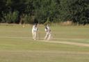 East Devon cricket club calls for more players to join up