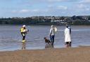 Peppa the dog being returned to her owners by Exmouth RNLI