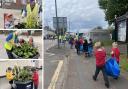 Year One pupils at Exeter Road School help Exmouth in Bloom