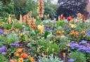 Flowers at Manor Gardens, Exmouth