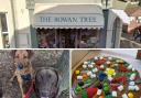 The Rowan Tree, Budleigh Salterton, Just Purrfect Dog Walking, Grooming and Pet Sitting, and a creation by Truly Scrumptious Chocolate  Workshops