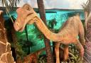 An animatronic dinosaur at Jurassic Discovery in Seaton.