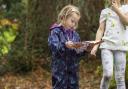 There's plenty to do at National Trust sites this autumn.