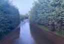 Exmouth's Maer Lane was flooded after the burst sewage pipe on August 12.