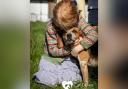 During the meet, people were able to meet and hug the hounds