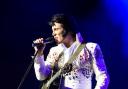 The stroke survivors club is set to host a Elvis tribute act.