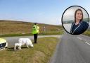 Alison Hernandez  intends to focus on theft, drug and alcohol use, antisocial behaviour and violence in the countryside