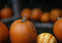 Anthony Bernard: Halloween, elections and November chill