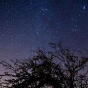 The Draconid meteor shower is set to reach its peak this week, and will be visible in the skies across the UK