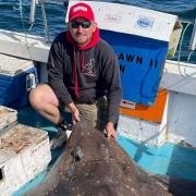 Tom Travers 199lb Common Skate