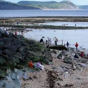 East beach at Lyme Regis - a nicer place to be since the sewage pumping station was built at nearby Cobb Gate. Photo by Chris Carson