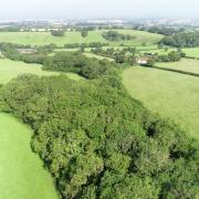 The site is near Lympstone