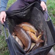 Guy Pedrick with 31lbs 8oz of fish from Spring Ponds