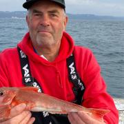 John Sherlock with a Red Gurnard