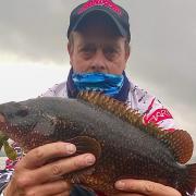 James Trevett of Honiton SAC, winner of the Wyvern Small boat Competition with a Small Eyed Ray