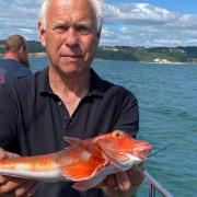 Mike Hansell 1lb 4oz Red Gurnard caught aboard Pegasus