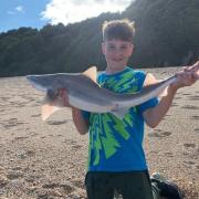 Ethan Hammond with a 10lb+ Smoothhound