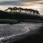 GV's at Otter Head near Budleigh Salterton on the river Otter.