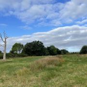 New open green space near Clyst St Mary.