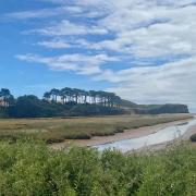 The Lower Otter  Restoration Project