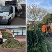 East Devon District Council recycle Christmas trees.