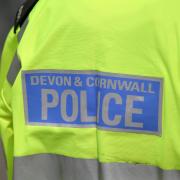 Devon and Cornwall Police are appealing for witnesses