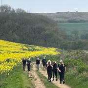 Walking through Shorwell.