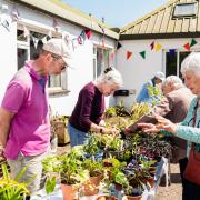 A busy stall at the plant sale