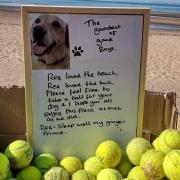 The cardboard box filled with tennis balls has been left on Exmouth beach.