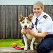 Lara the dog with RSPCA inspector Nichola Johnson