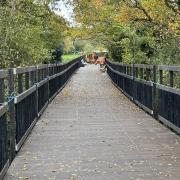 The Courtlands Boardwalk